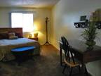 Studio - Ridgeway Village