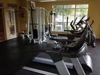 2 Beds - Lincoln at Wolfchase