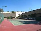 2 Beds - Rollingwood Apts
