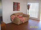 1 Bed - Country Village