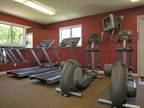 2 Beds - Homestead Apartments