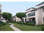 Studio - Summerhill Village