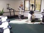 1 Bed - The Concord
