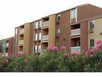 Studio - Alvista on Baltimore