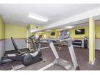 1 Bed - Jefferson Park