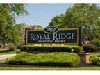 Studio - Royal Ridge