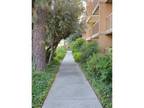Studio - eaves Woodland Hills
