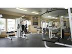 1 Bed - The Lakes at Lionsgate