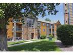 1 Bed - The Village at North Hills