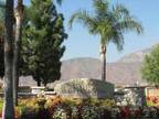 3 Beds - Country Club Villas & Terrace Apartment Homes
