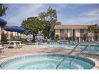 1 Bed - The Sandpiper