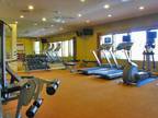 1 Bed - Superstition Canyon