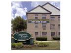 1 Bed - Cypress Creek