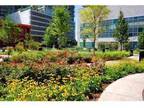 3 Beds - Parc Huron River North
