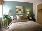 3 Beds - The Knolls