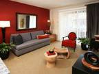 2 Beds - Main Street Village