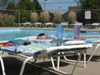 1 Bed - Fairfax Apartments