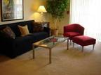 1 Bed - Wood Creek Apartments