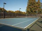 2 Beds - eaves Mountain View at Middlefield