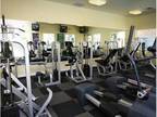 2 Beds - Del Mar Apartments