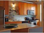 1 Bed - Minneapolis Grand