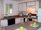 1 Bed - Main Street Village Apartment Homes