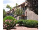 Studio - Falcon Court