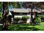 1 Bed - Maplewood Apartments