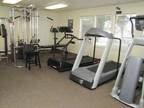 1 Bed - OAK PARK