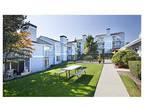 2 Beds - Pinewood Village