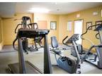 $650 / 1br - 700ft² - Flexible lease terms available at Spring Brook Apartments