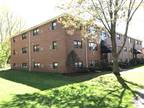 Newton 1BA, Nice, clean sunny studio, high ceilings