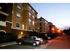 $2480 / 2br - 1100ft² - Newly Built Luxury Condo with 2BR 2BA with CLUB HOUSE