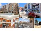 2300 Pimmit Dr #515 Falls Church, VA 22043