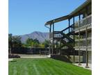 $815 / 2br - 800ft² - Come check out the new Bear Valley!