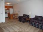 $408 / 382ft² - Furnished Studio Apartment Ready to be Yours Today!