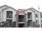 $725 / 2br - Pedron condo 144- Tpm Rental