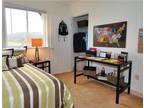 $405 / 4br - 1315ft² - Great location & value (South View) 4br bedroom