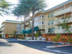 $2410 / 2br - 1110ft² - Monthly OR Lease 2 Bed/2 Bath Roof Deck Dining