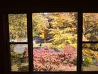 $1250 / 2br - 830ft² - Furnished Short/Long Term Condo w/ Garage (1158 Eastern