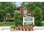 Pet Friendly 1+1 Apartment in Old Bridge