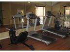 $440 / 1br - 510ft² - Going Fast Jr 1Bedroom 1Bath (Palomino Crossing Apartment