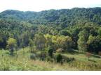 117 Acres Priced to Sell $275,000