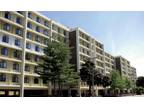 Furnished studio apartments available for fall: lease from Aug-May