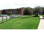 $450 / 2br - housemate (SQUIRREL HILL) (map) 2br bedroom