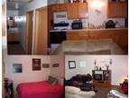 $290 / 4br - Hidden Valley Apt (4bed/1bath) (2117 College St, Cedar Falls