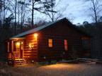 Property for sale in Cherry Log, GA for