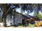 1 br Apartment - Large & Bright. $735/mo