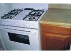 $545 / 4br - Family Room with Fireplace (Noble, IL) 4br bedroom