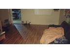 Needing a roomate for my studio apartment